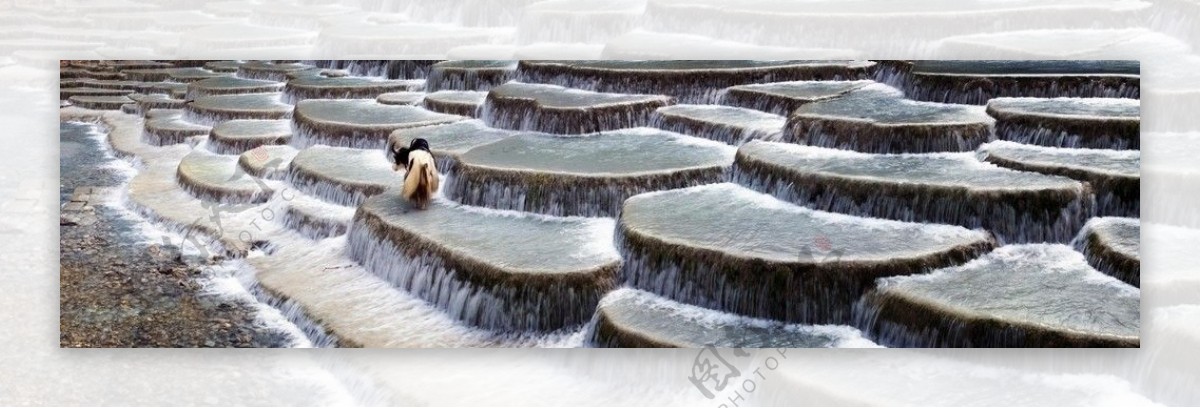 丽江玉龙雪山白水河上图片