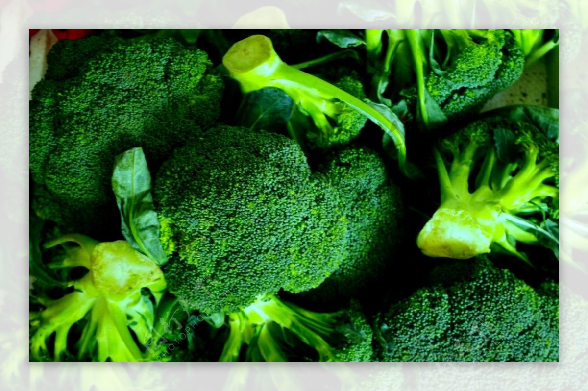 蔬菜西兰花图片