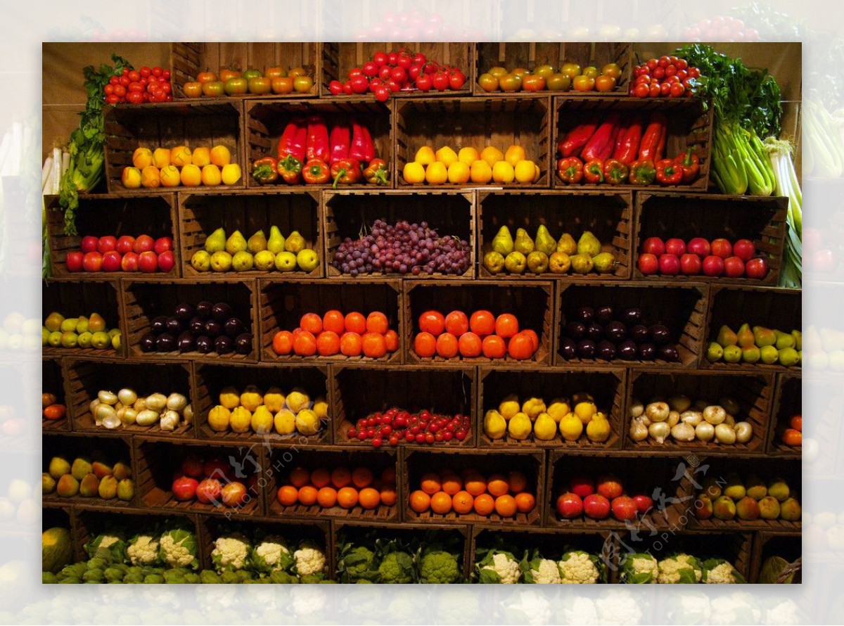 果蔬储藏室图片
