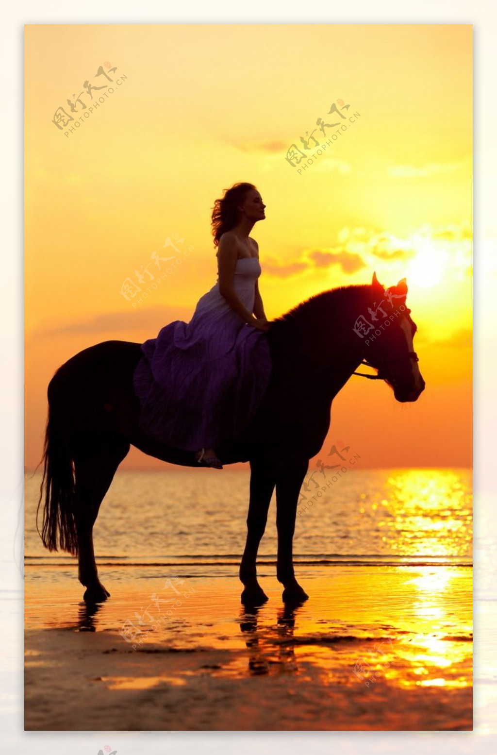 海边骑马的女孩刘奕宁写真美女壁纸-壁纸图片大全