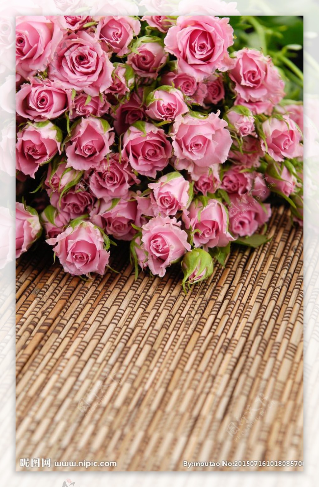 粉玫瑰图片素材-编号14898717-图行天下