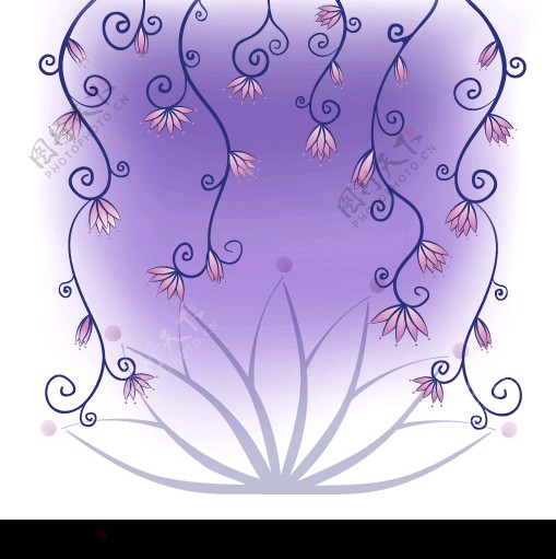 紫花藤矢量图图片