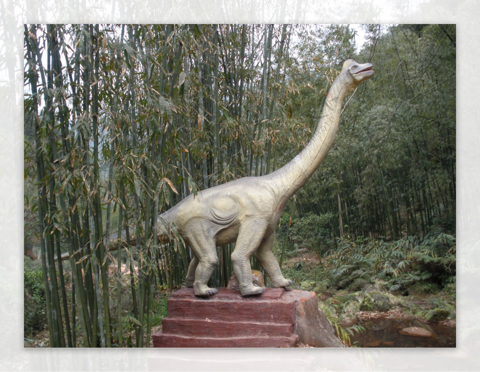 自贡燎原彩灯仿真恐龙恐龙化石图片