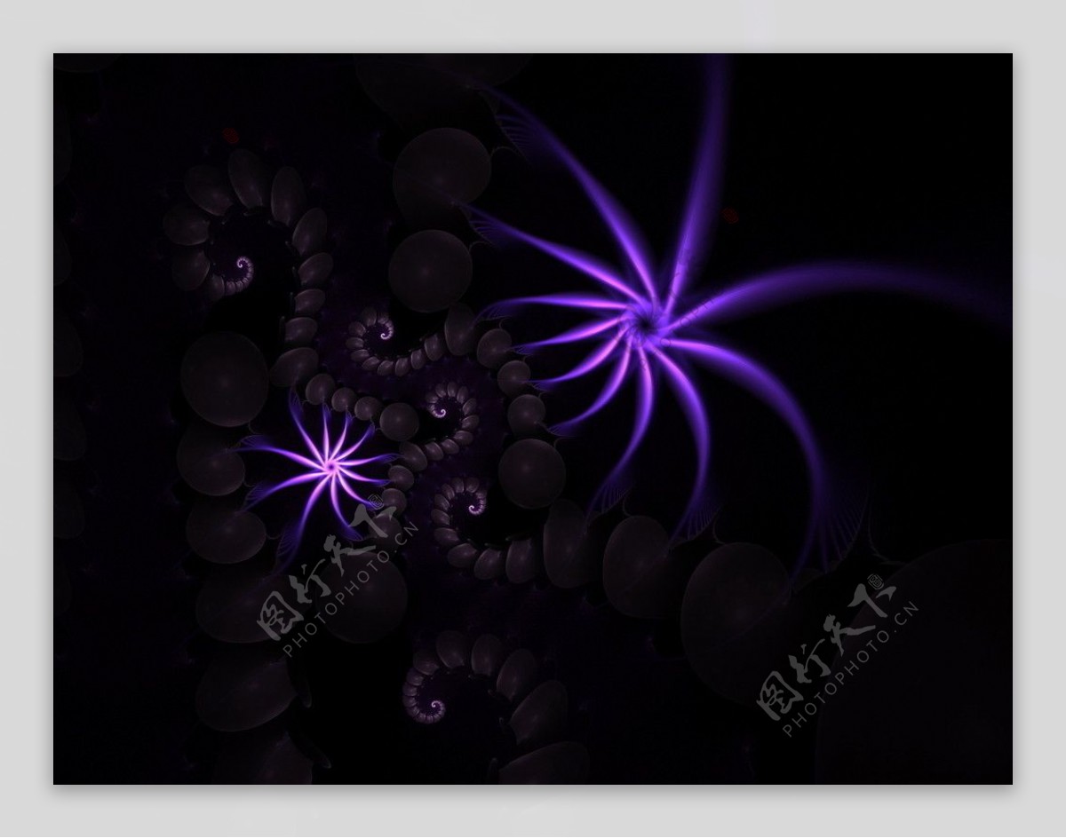 紫色花纹荧光屏图片
