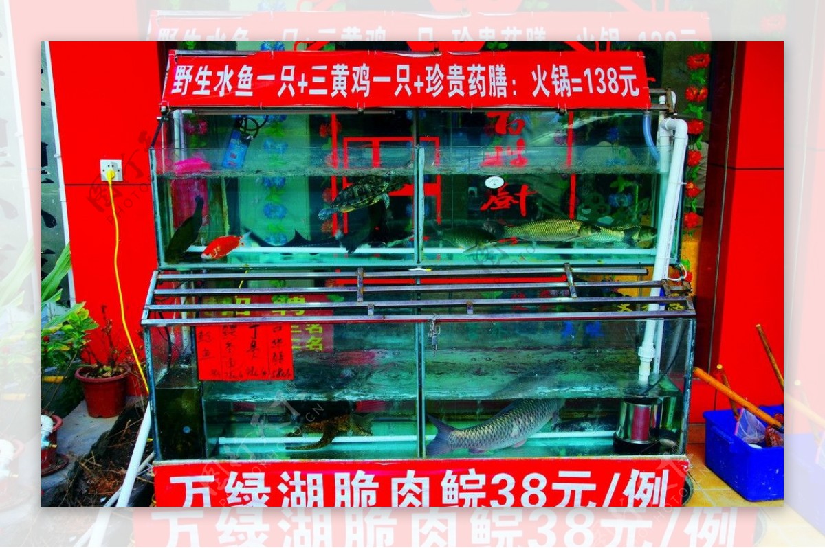 商务酒店海鲜鱼缸图片