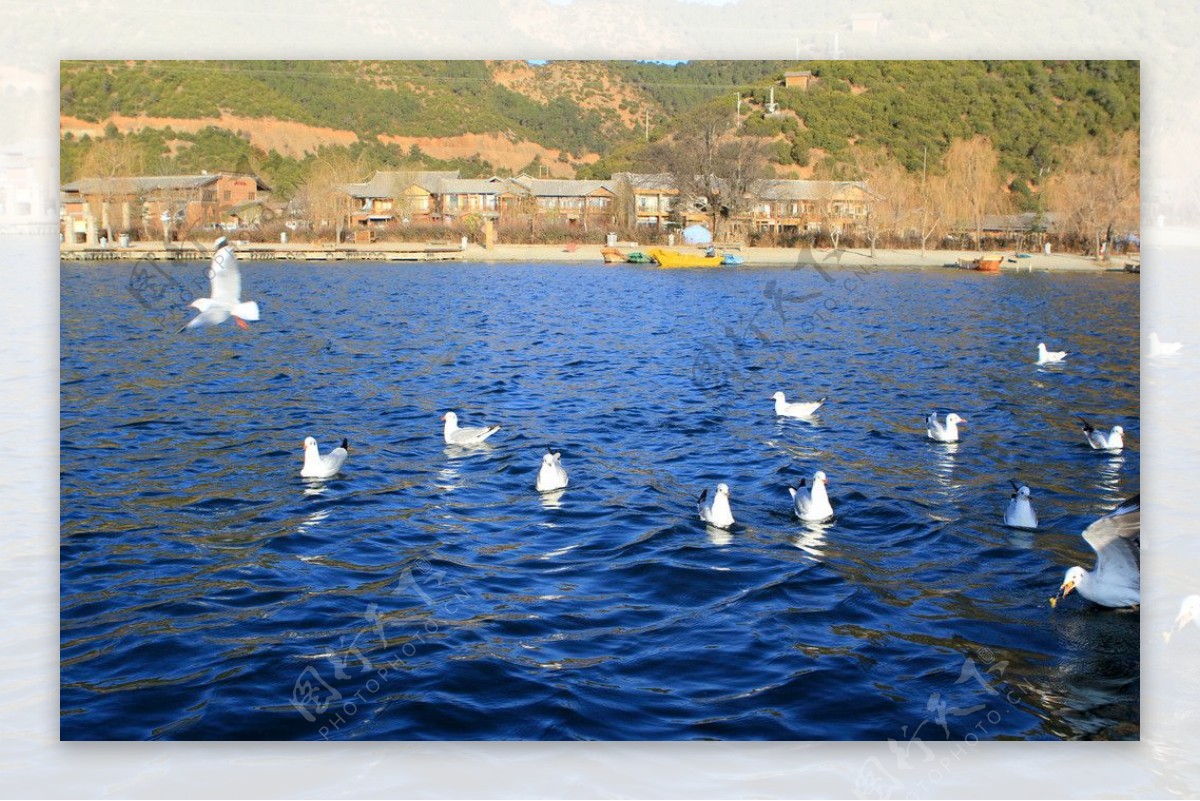 泸沽湖风景图片