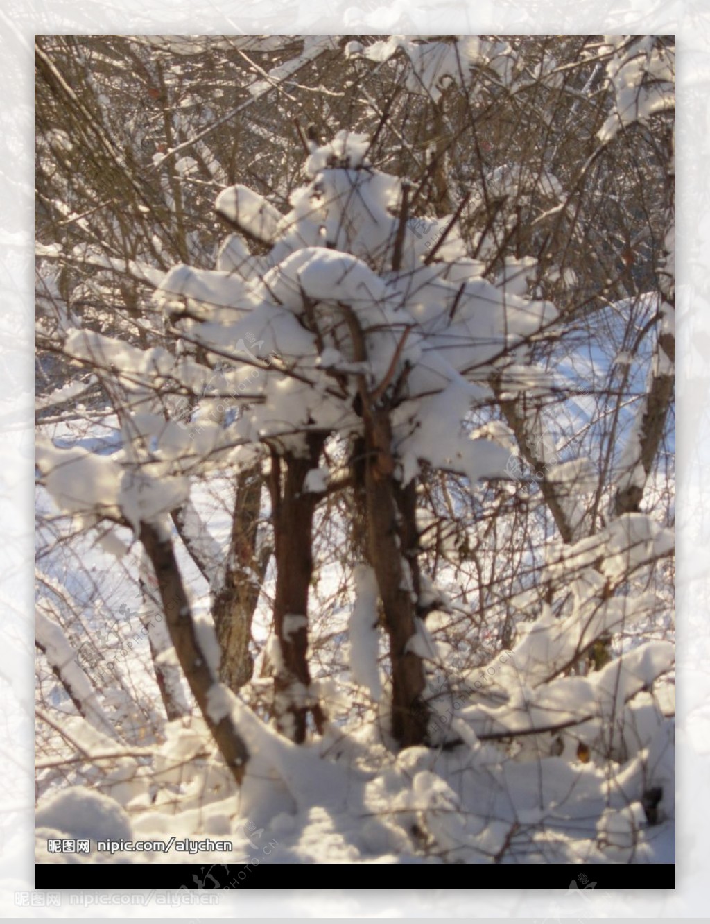 乌鲁木齐的雪景图片