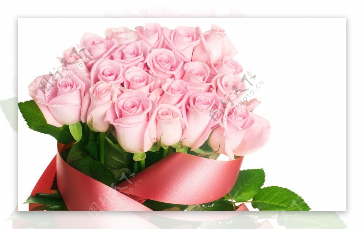 唯美粉玫瑰花束图片