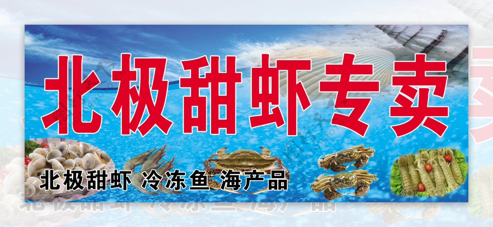 虾海产品图片