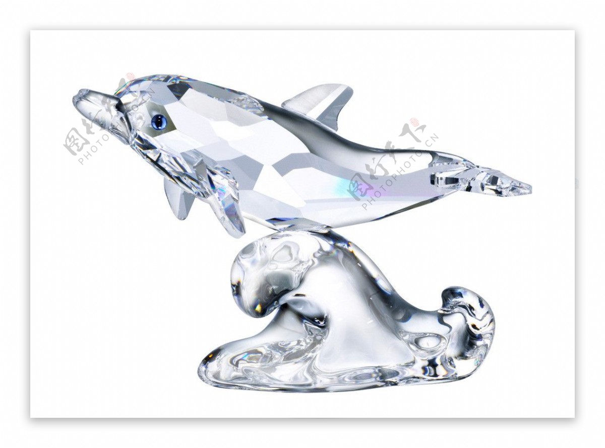 水晶海豚图片