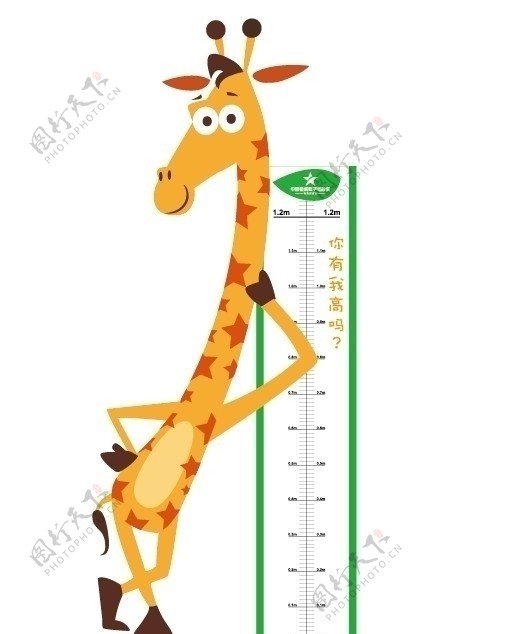 长颈鹿量身高图片