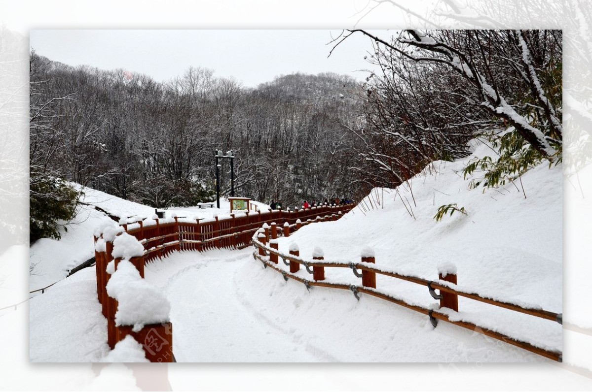 日本地狱谷温泉公园图片