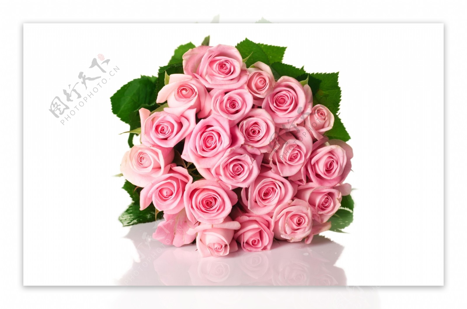 粉玫瑰花束图片素材-编号37739330-图行天下
