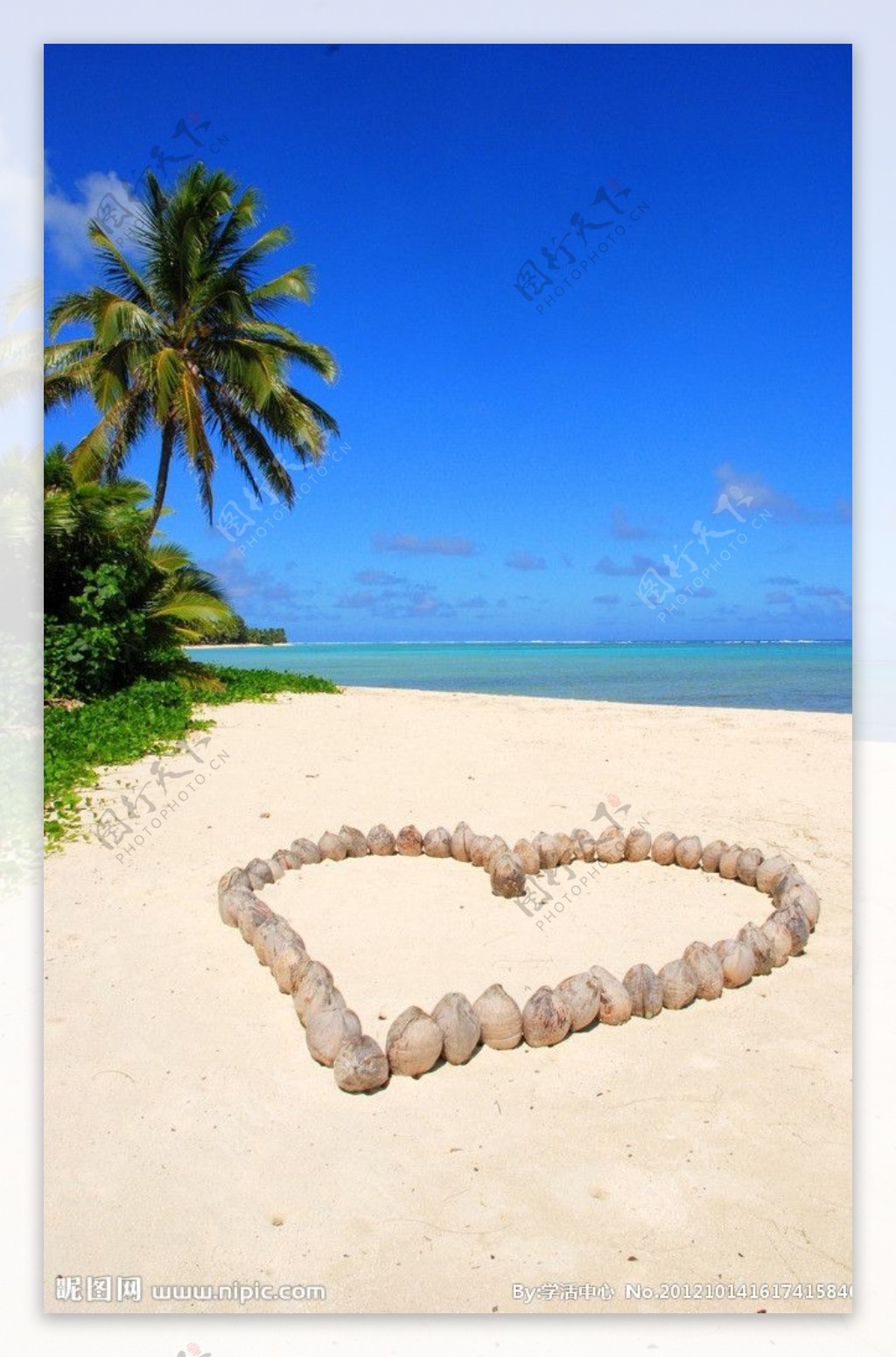 沙滩上用椰子壳爱心图片