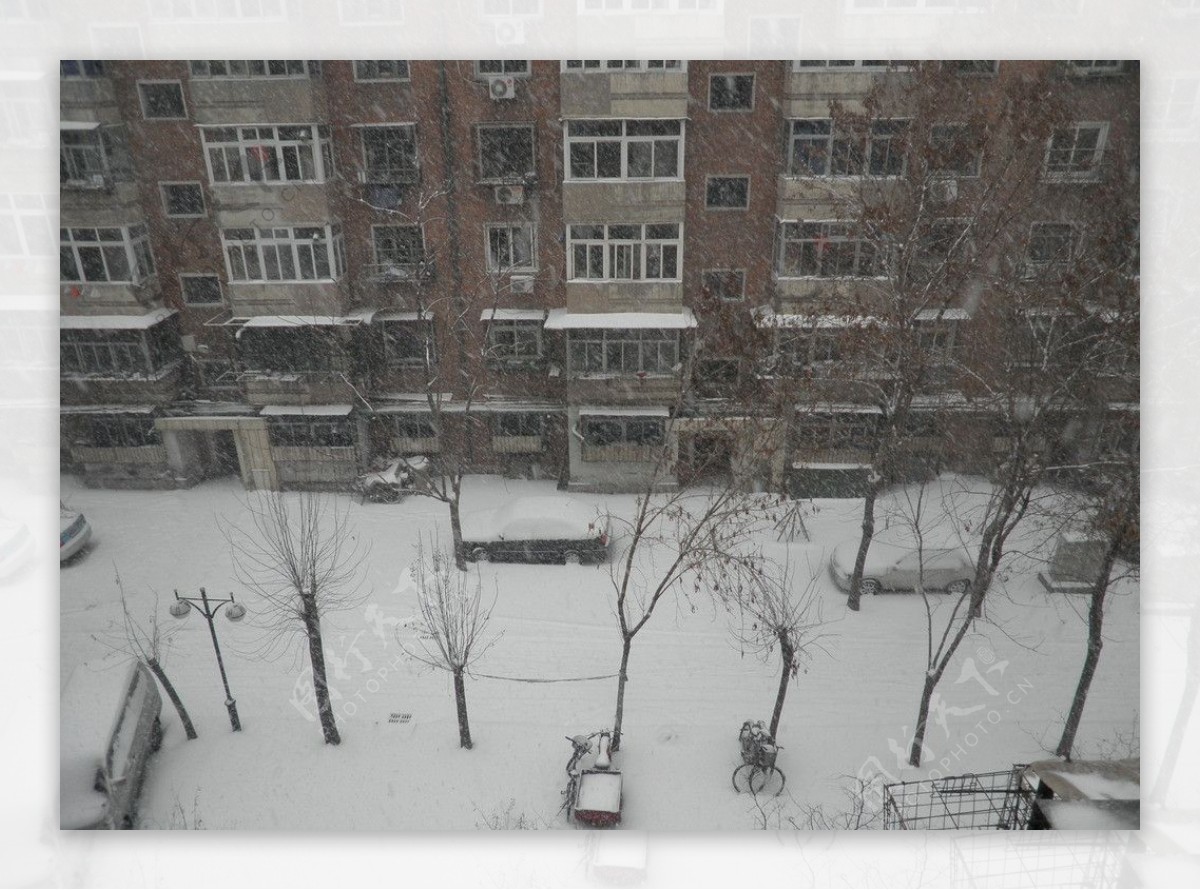 大雪天小区景图片