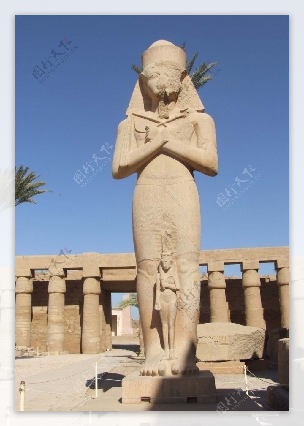 埃及石像图片