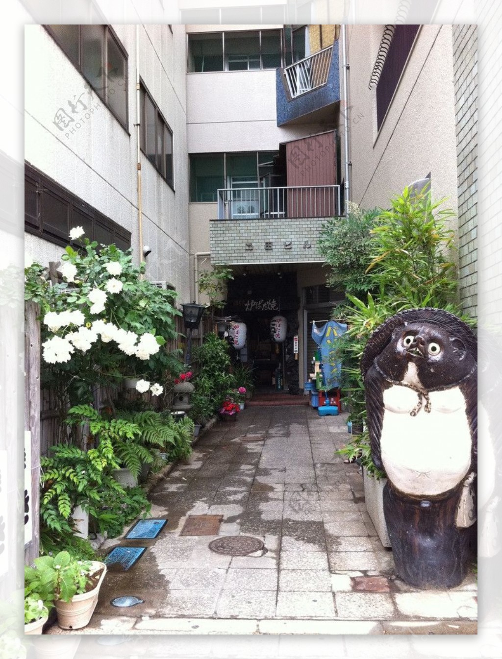 日本居民区街道图片