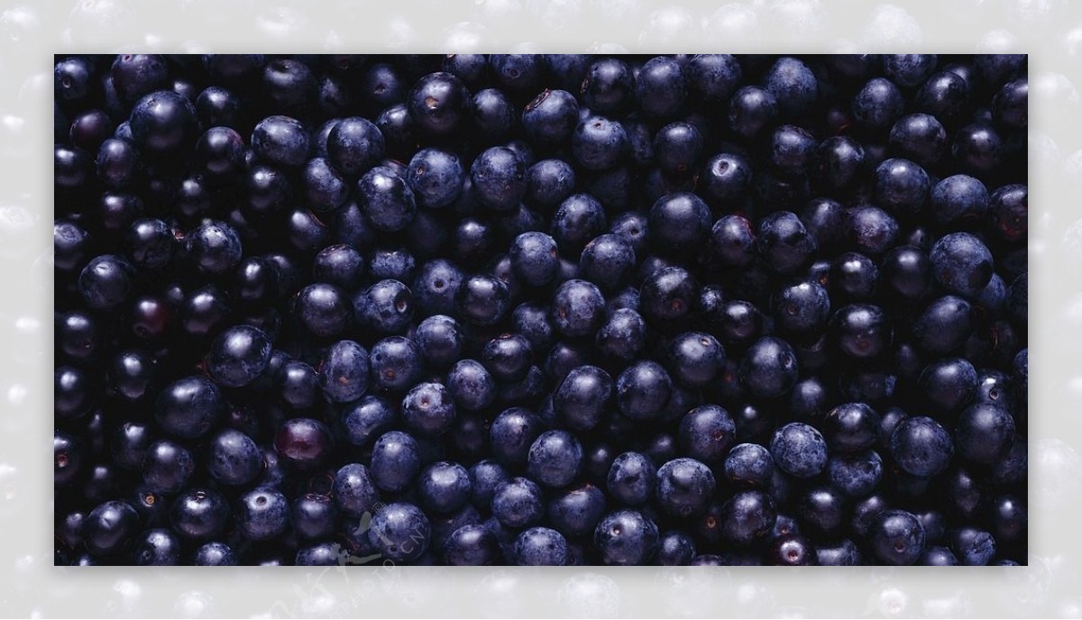 一堆蓝莓水果高清图片