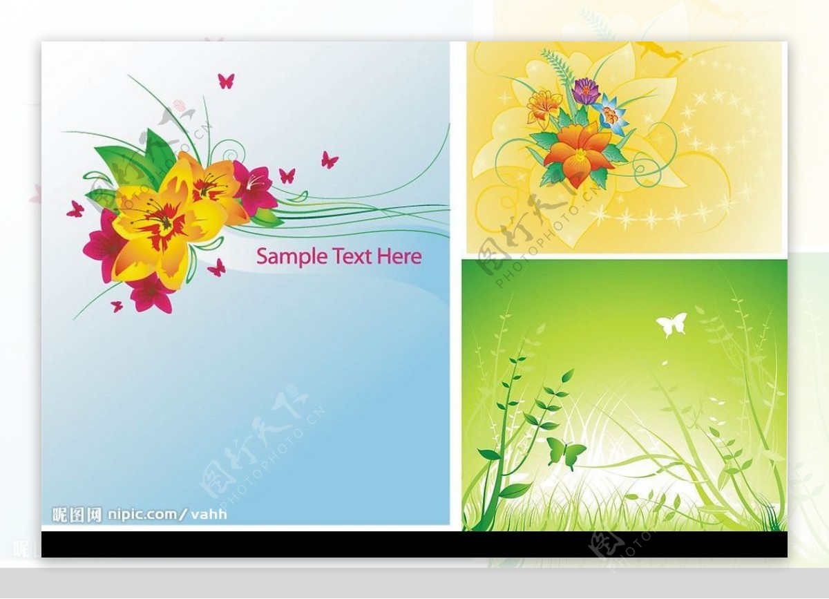 3款花卉植物蝴蝶矢量素材图片