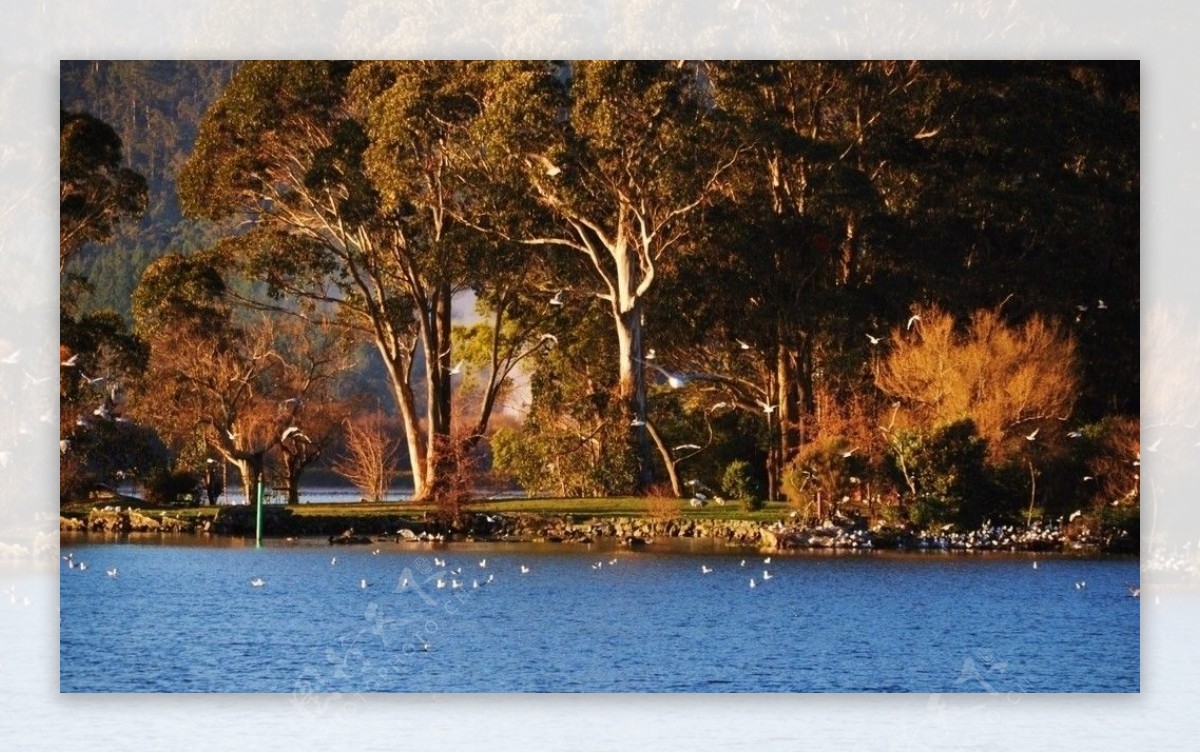 新西兰Roturua湖图片
