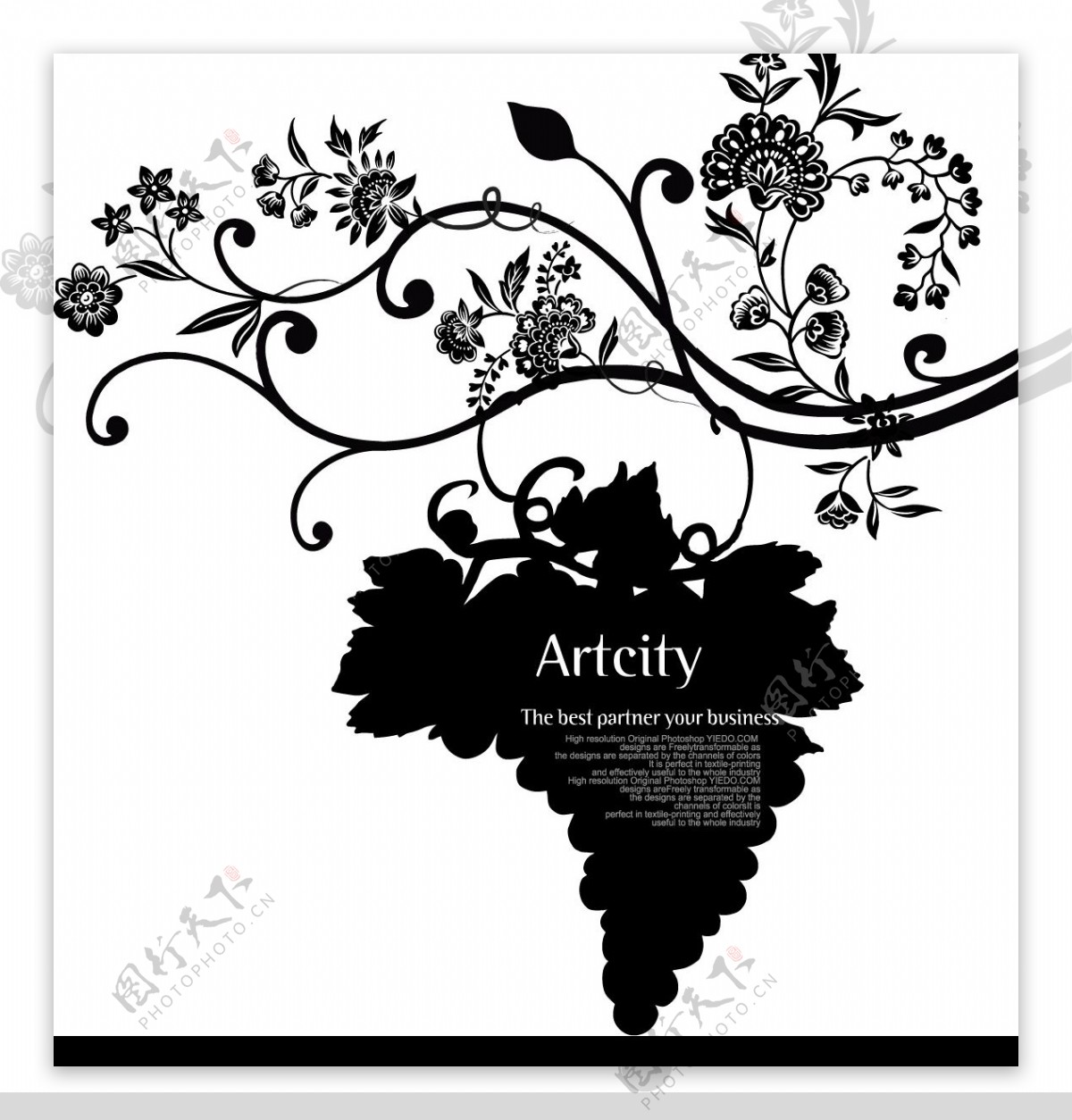 Artcity的葡萄花图片