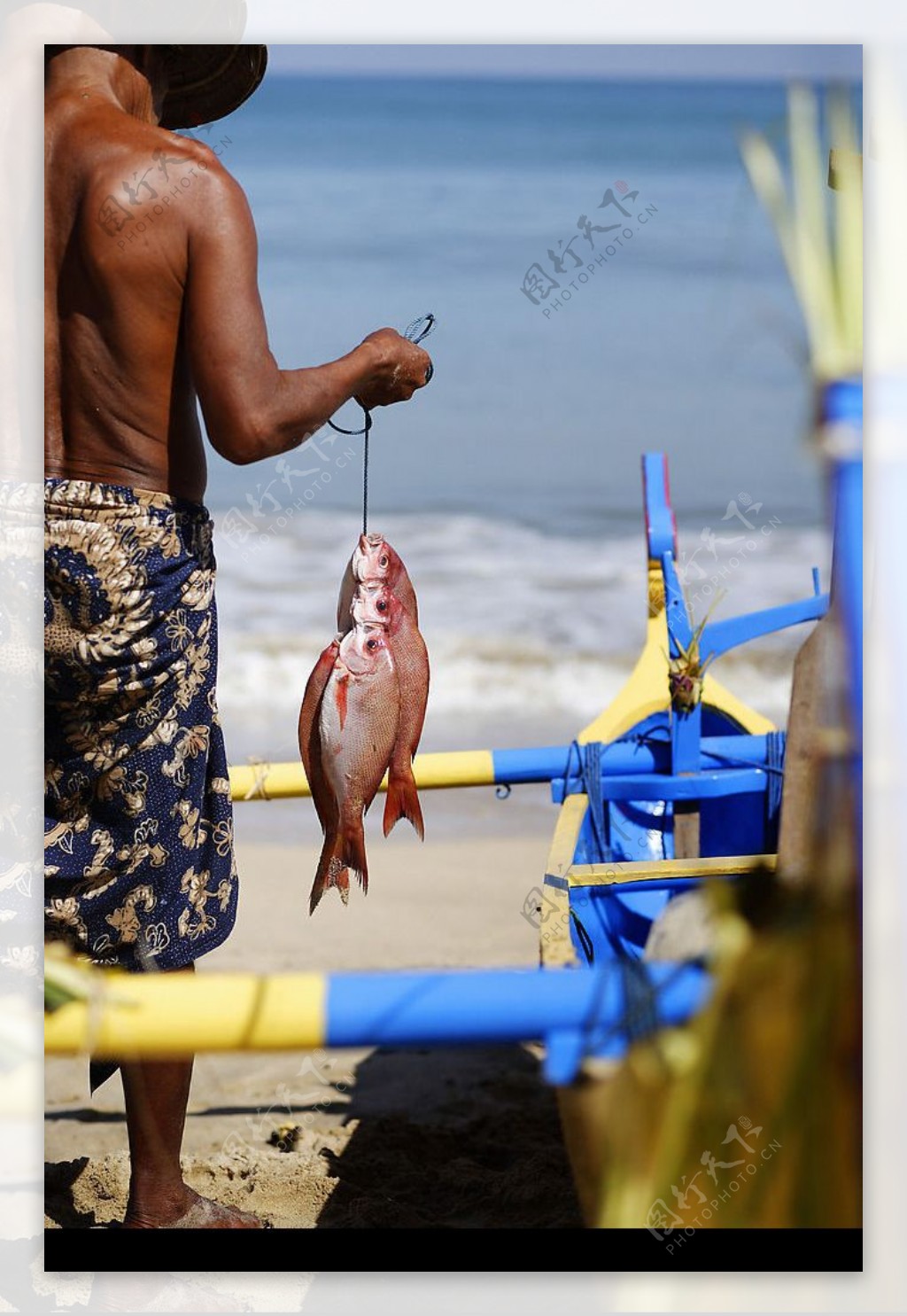 渔夫与鱼图片