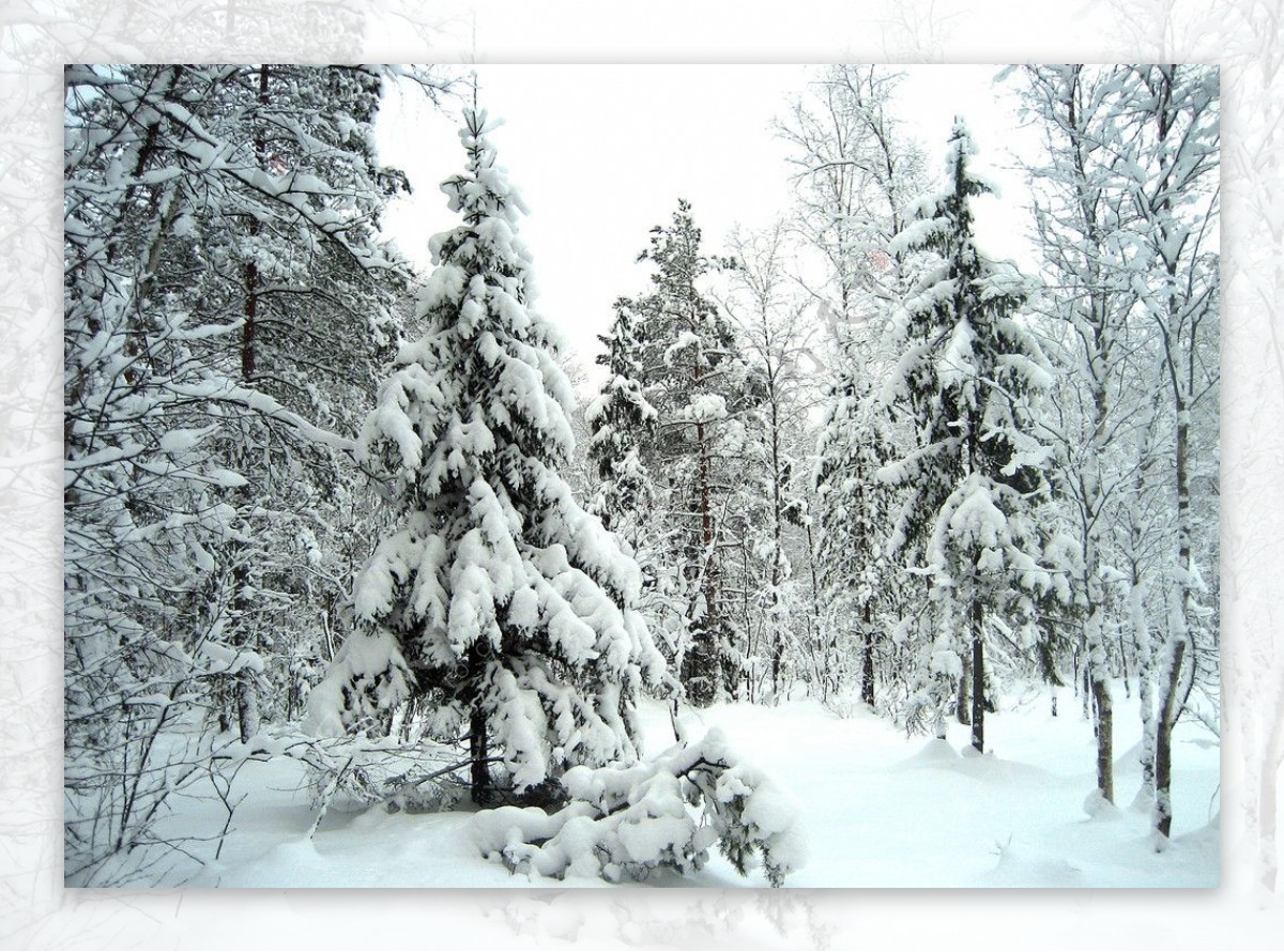 西伯利亚冬天图片