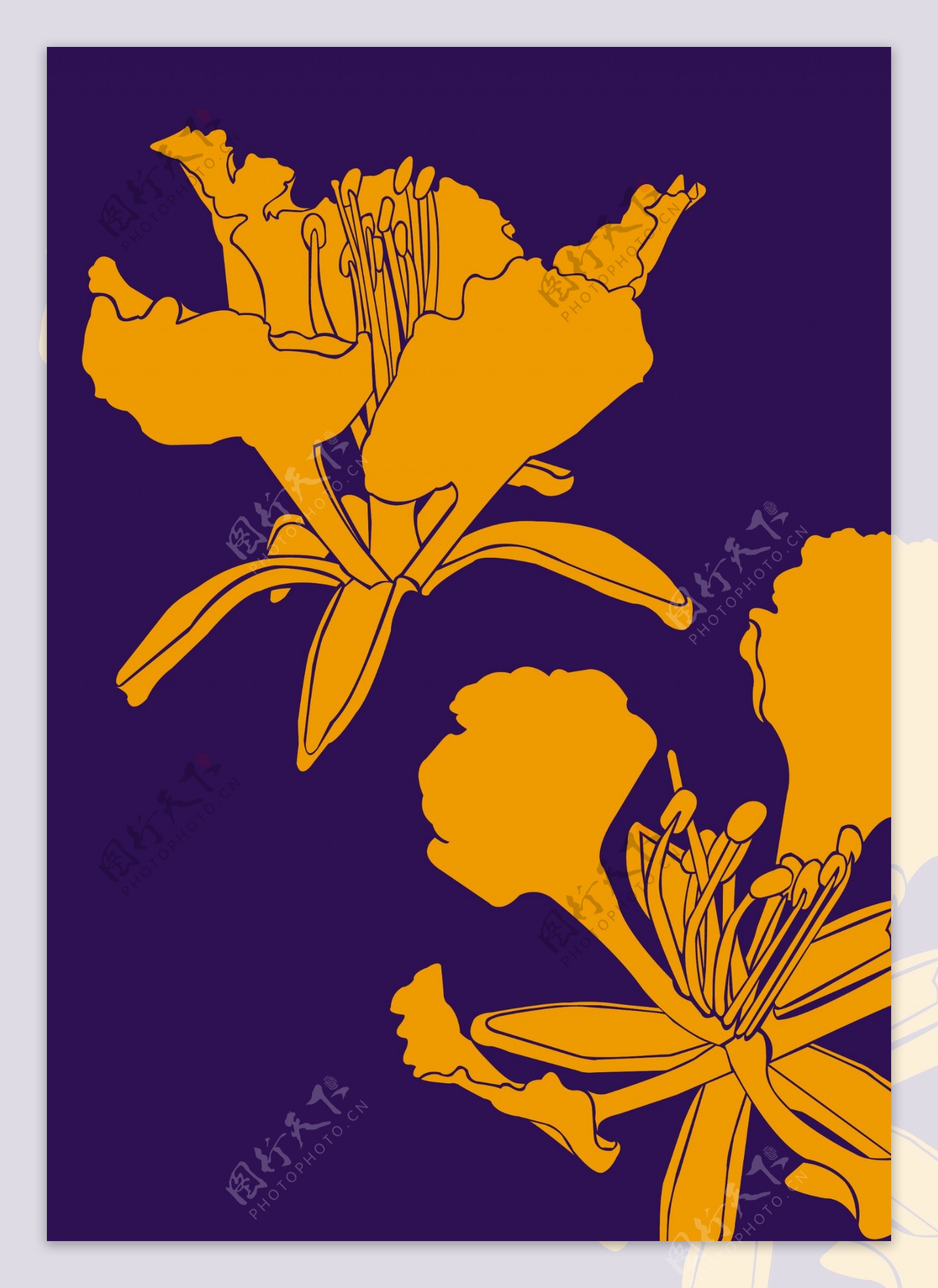 鳳凰花flower01图片