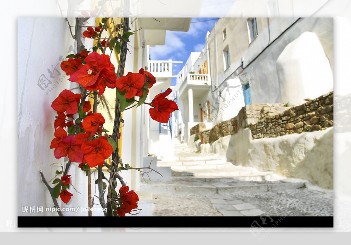 美丽的希腊小巷图片