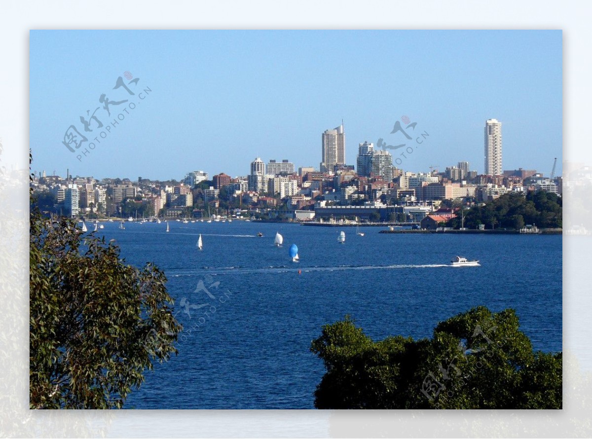 悉尼湾图片