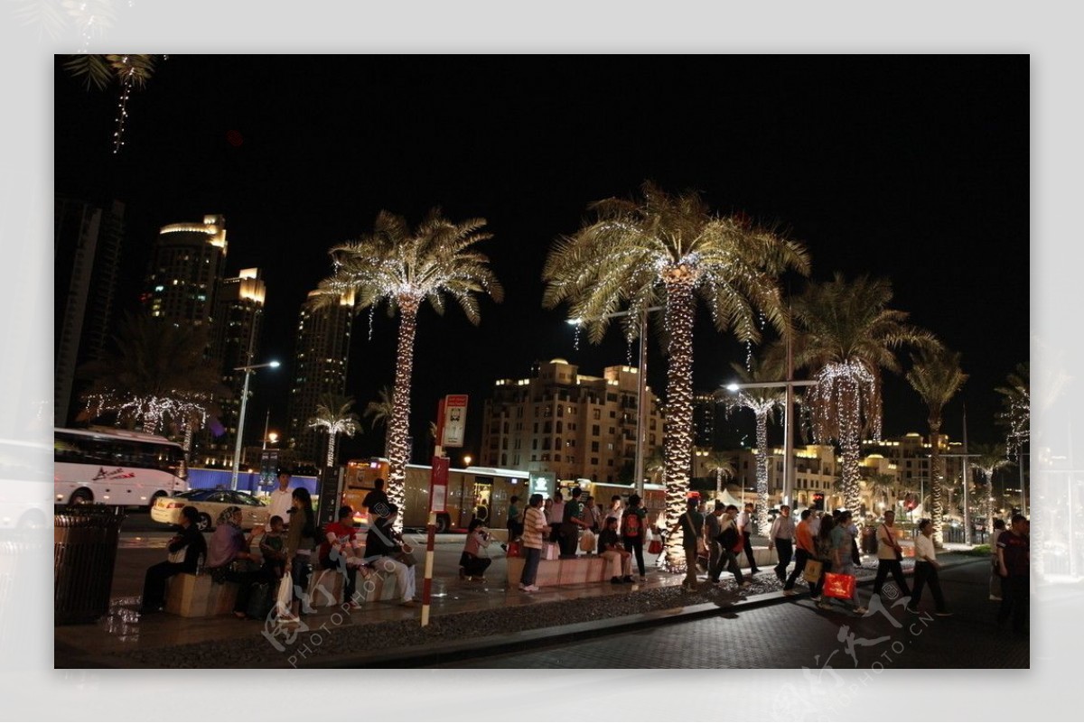 迪拜之夜图片