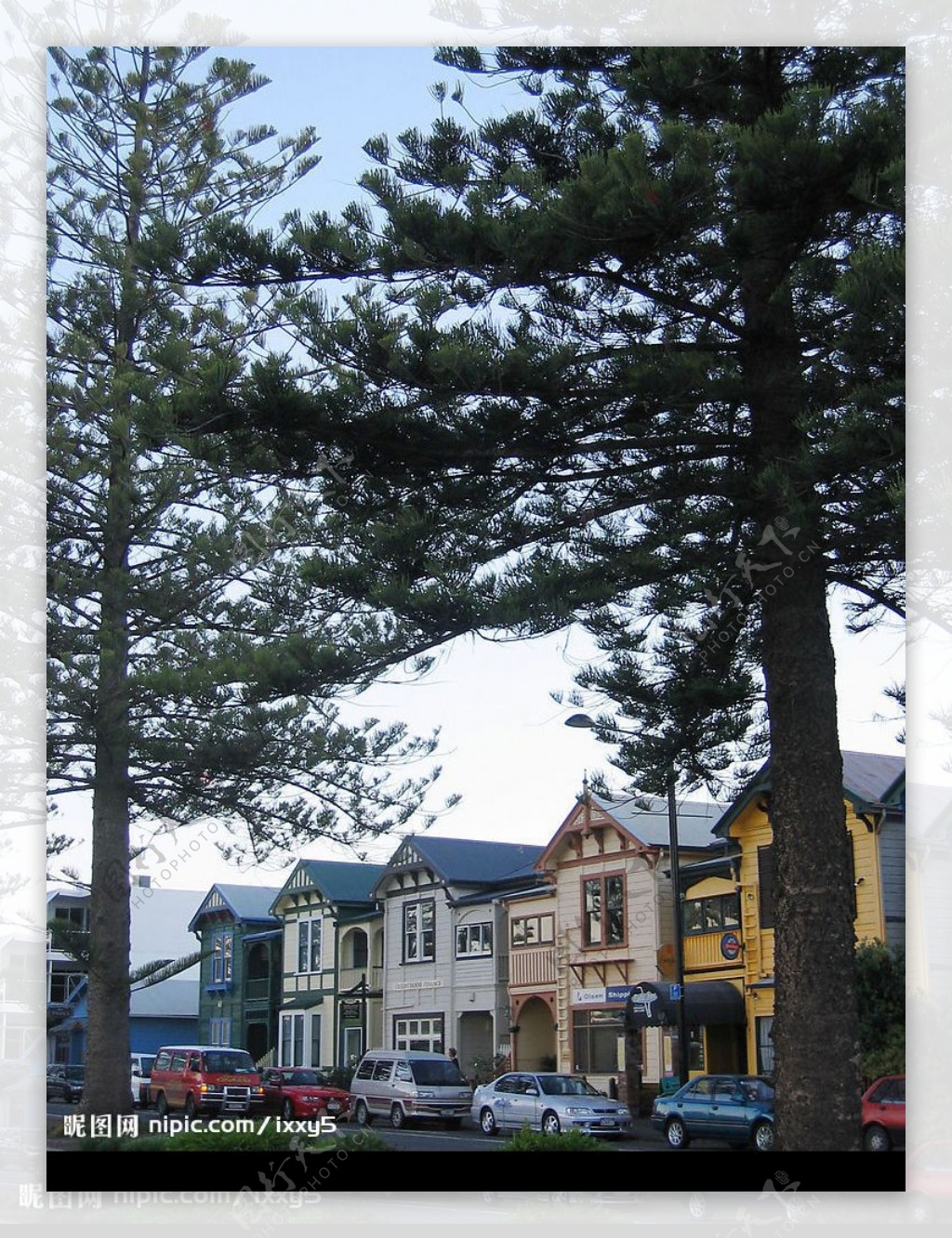 新西兰之旅彩色小屋图片