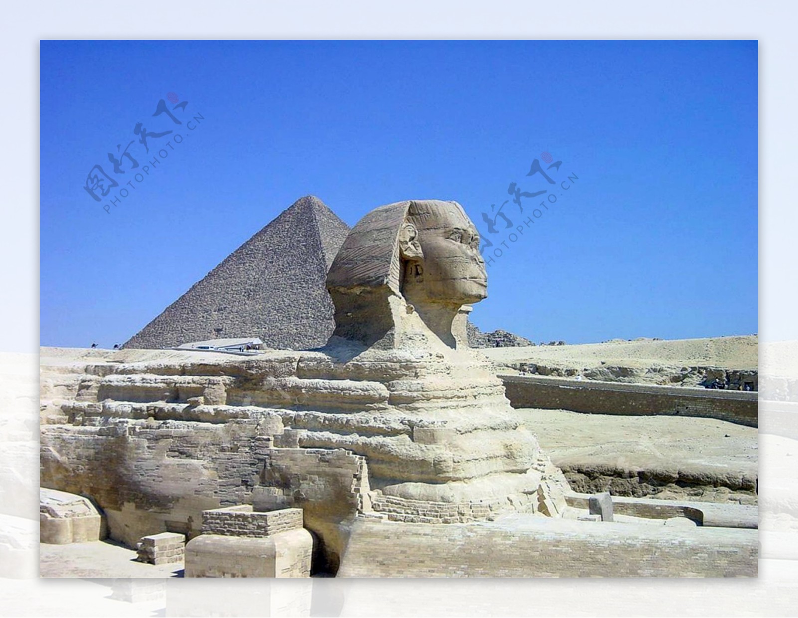 埃及金字塔狮身人像图片