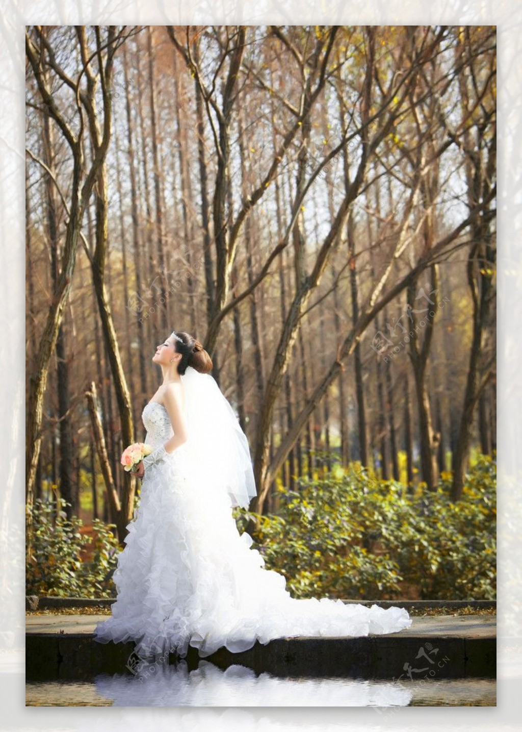 森林婚纱图片