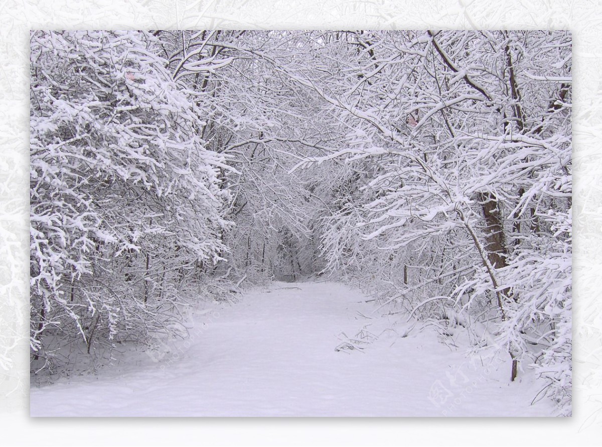 雪景图片