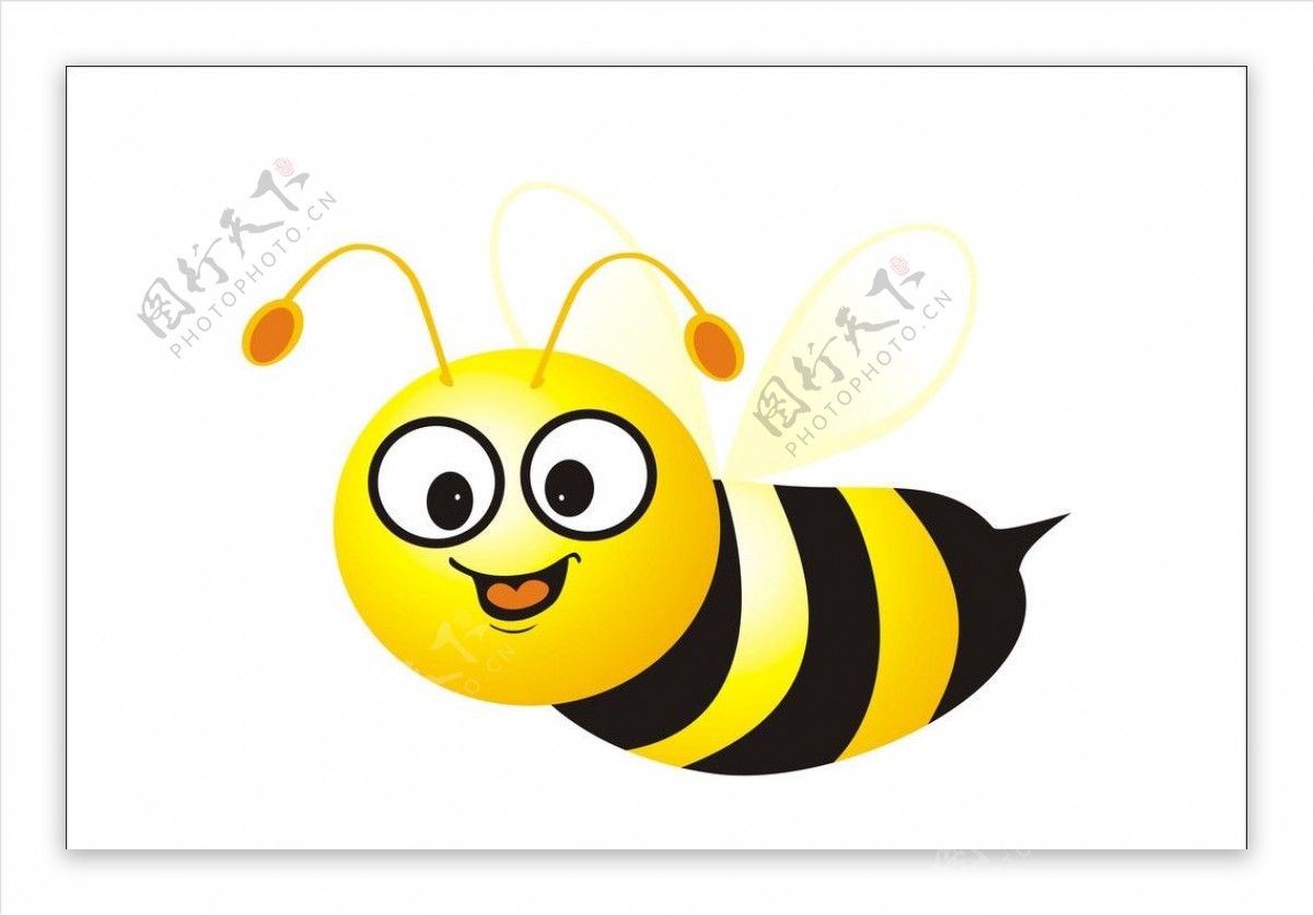 蜜蜂矢量图片