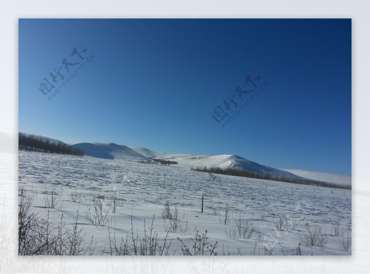 草原雪景图片