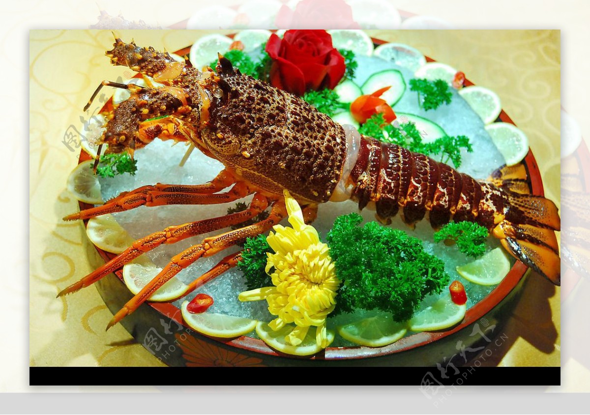 澳洲龙虾刺生图片