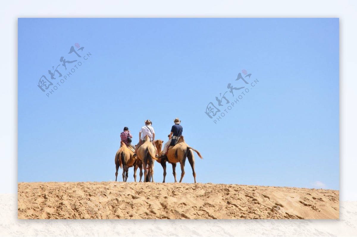 沙漠骑行图片