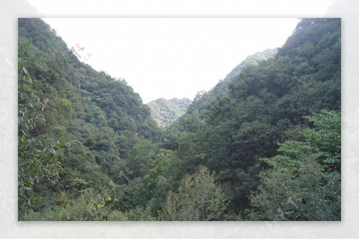 沟风景区伏牛山图片