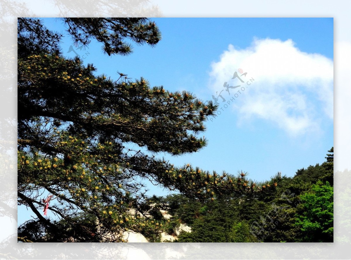 龟峰山风景图片