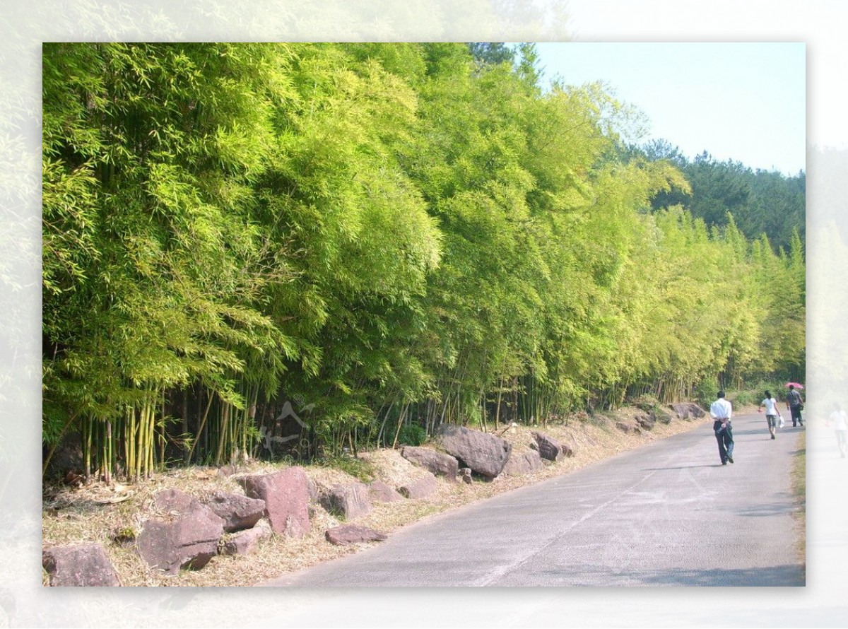 冠豸山风光图片