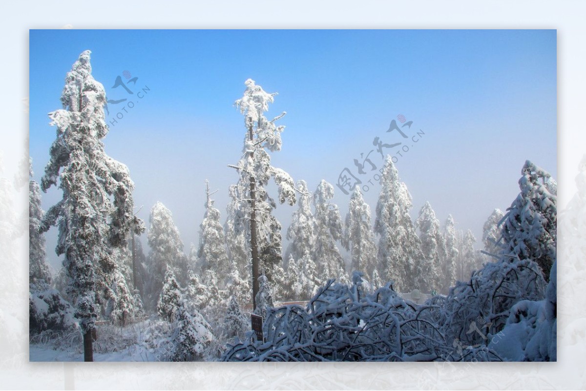 雪景峨眉山图片