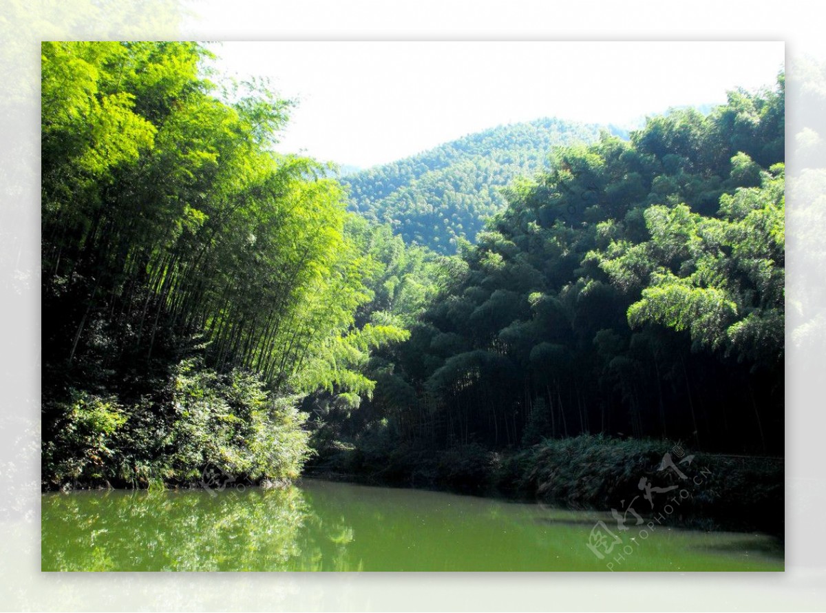 竹海公园图片