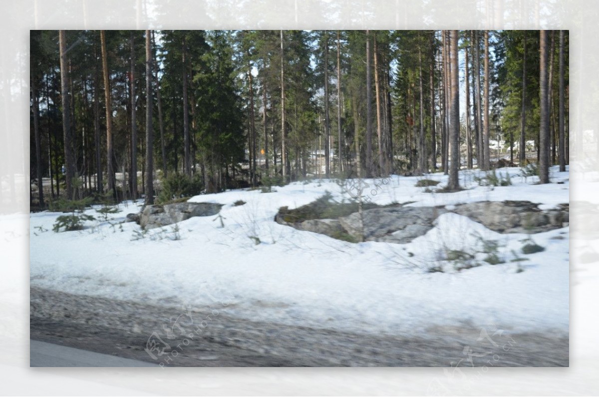 雪与树林图片