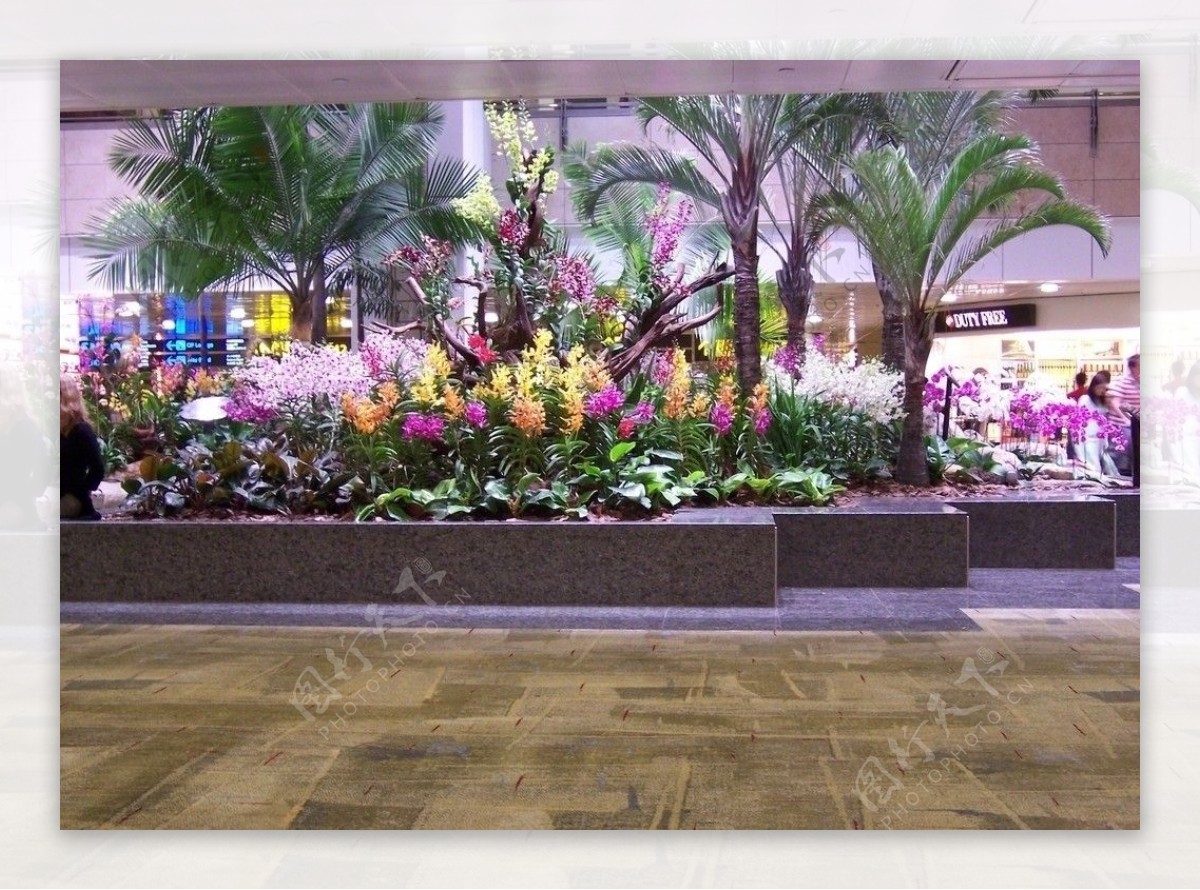 机场花卉景色图片
