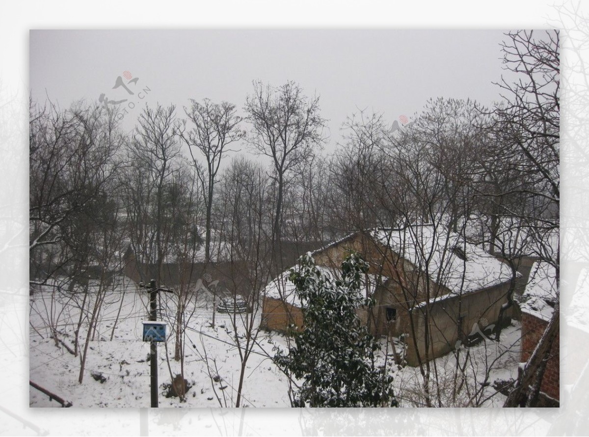 大雪过后的乡村风景图片