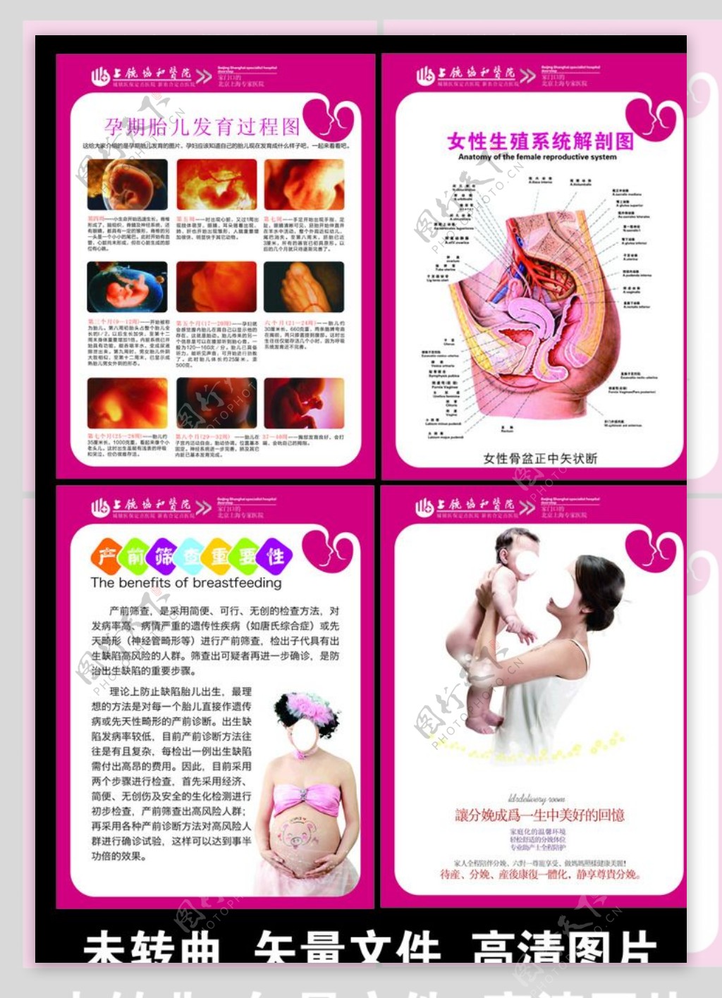 妇产科孕期知识宣传图片