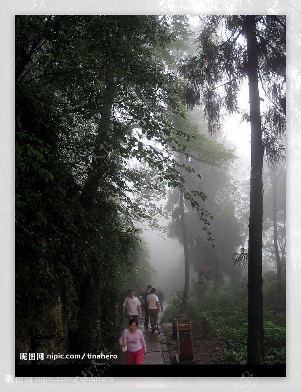 雾气缭绕的雨后青城山图片