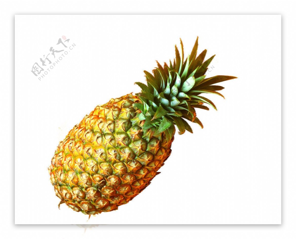 菠萝扣图图片